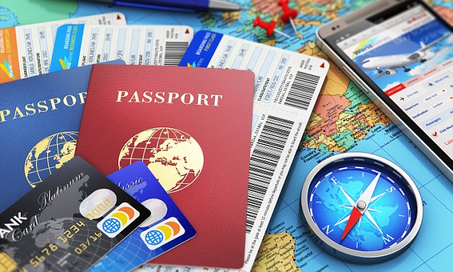 Professional visa assistance